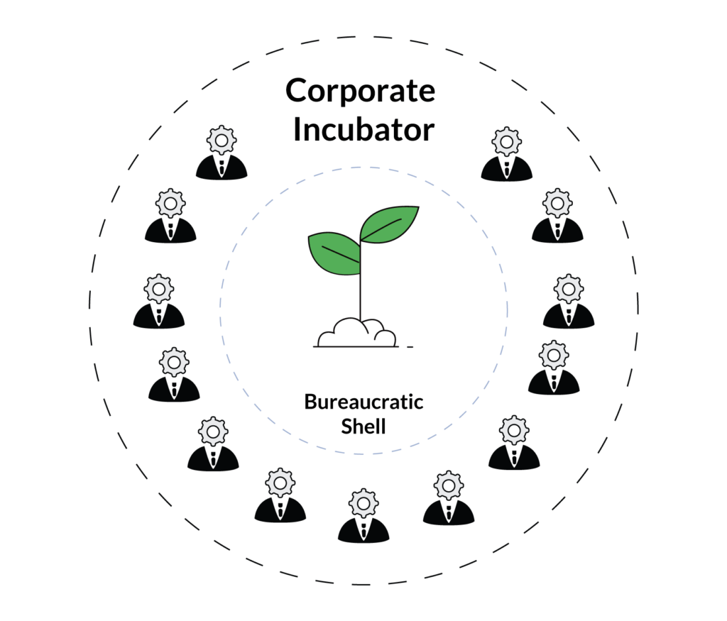 bureaucracy within an incubator for a startup